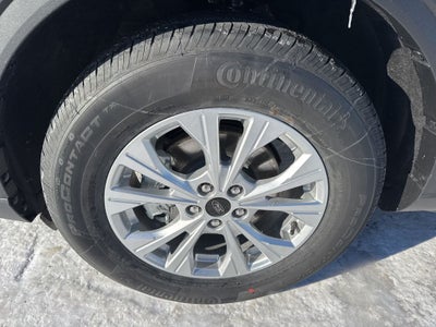 2026 Ford Escape Active®